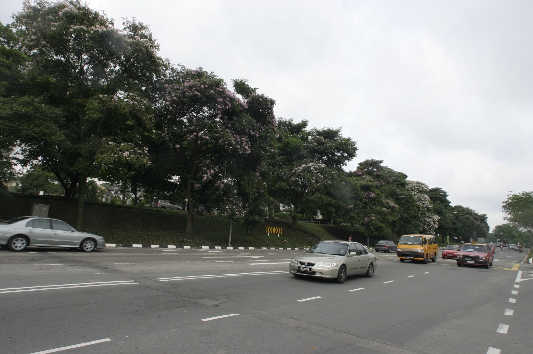 **已签发**柔：【州议会】：麻坡市会今年获49万，用作辖区路树维护
