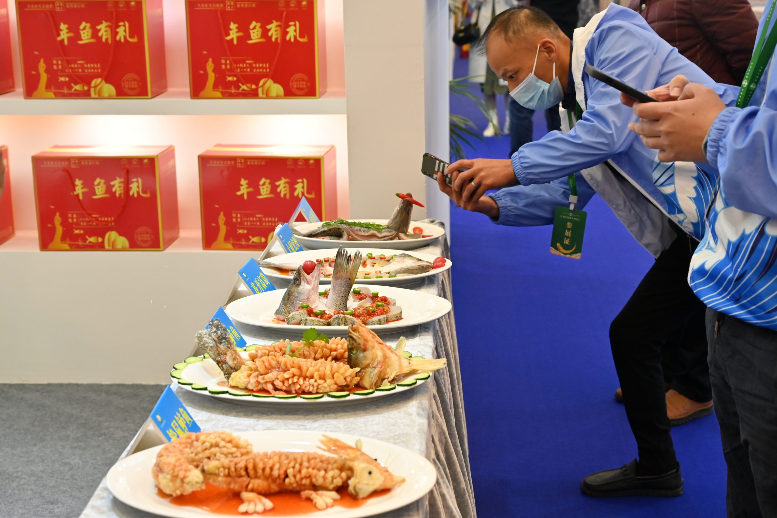 拼盘／首届中国年鱼博览会在广东珠海开幕