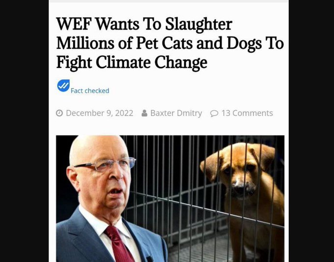 求真//世界经济论坛想要宰杀数百万只宠物猫和狗？无事实根据