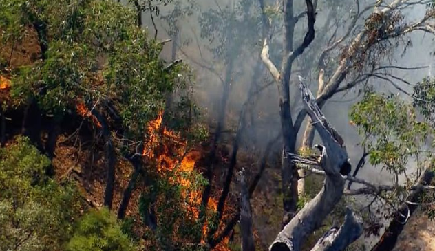 澳洲一架飞机坠毁后引发丛林大火 机上两人死亡