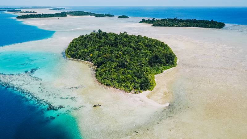 看世界／公开标售印尼群岛引发环保争议 苏富比延后拍卖