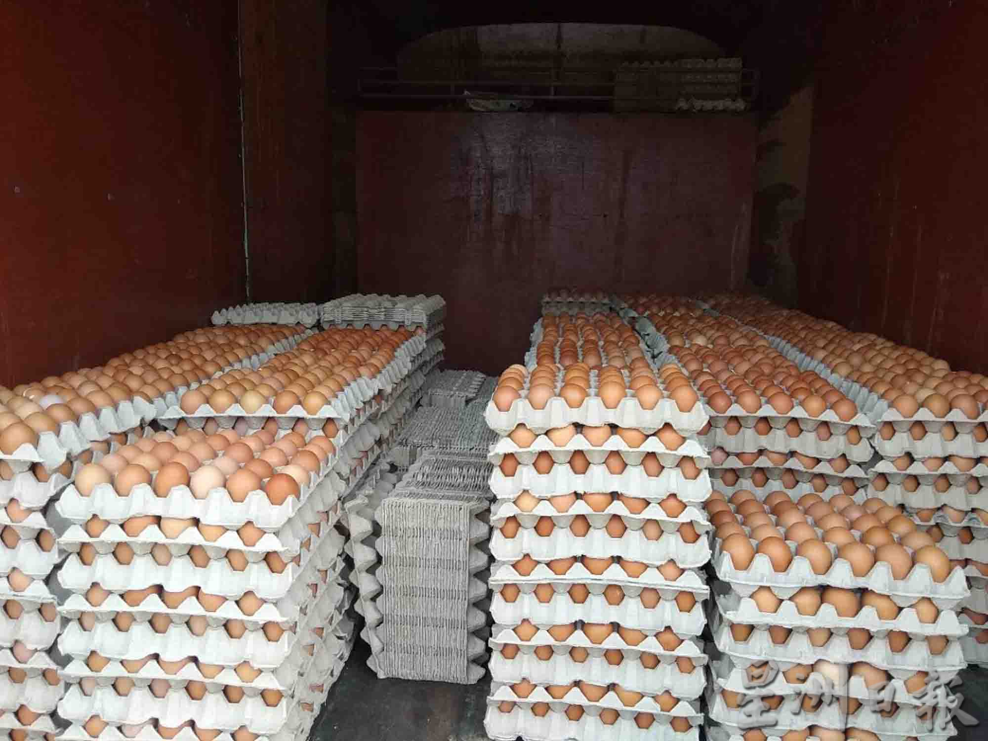 霹：封面主文／鸡蛋缺货，白壳鸡蛋异军突起，价格猛涨