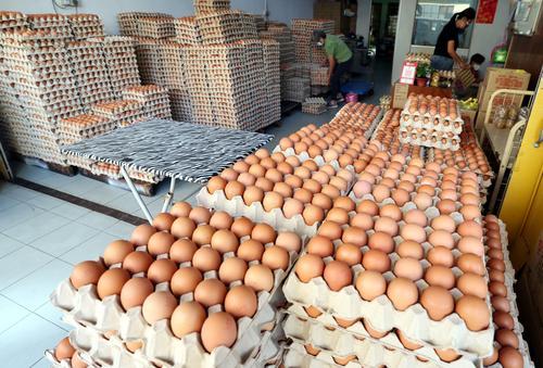 鸡蛋食用量月均逾9亿粒 末沙布：国外进口鸡蛋应付需求  