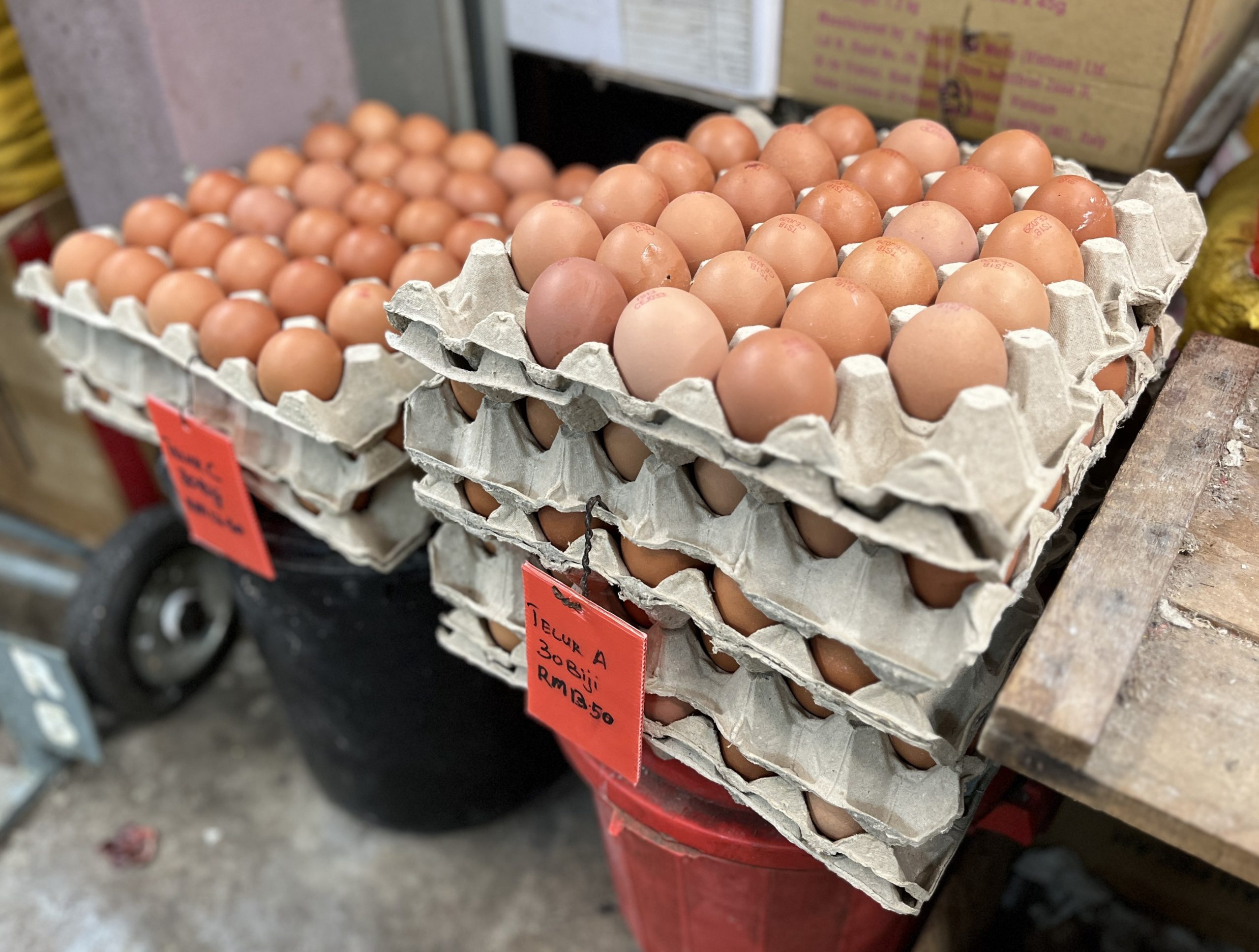 （古城封面主文）鸡蛋供应虽逐渐回稳，商家依旧限制购买数量