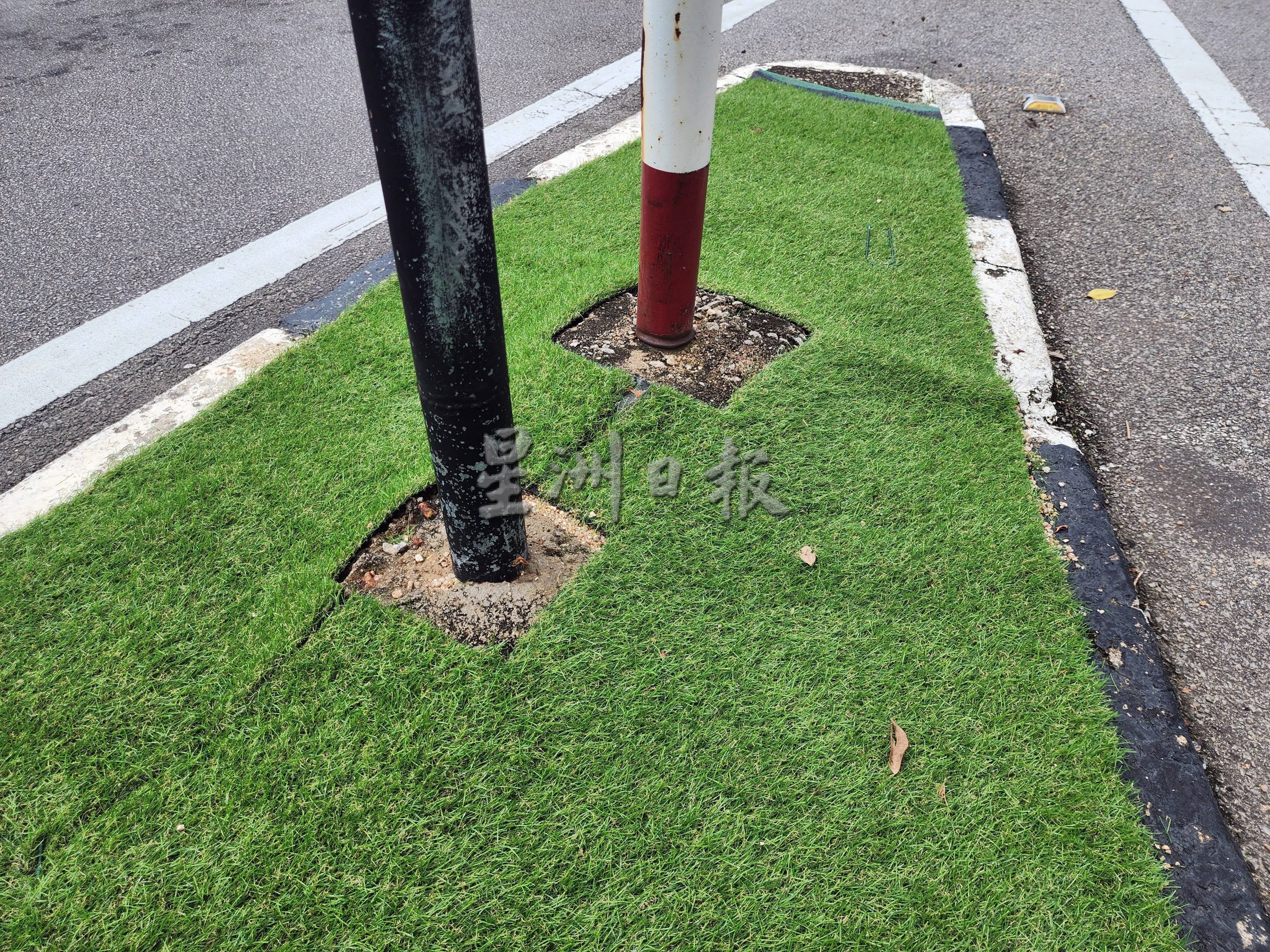 （古城第二版主文）刘志俍：帆加南马交通灯人造草坪没诚意，也失去绿化的意义