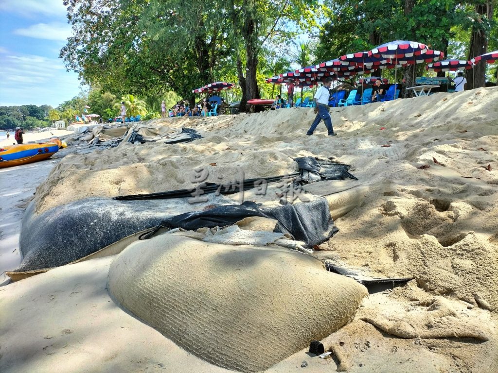金沙滩沙袋墙坍塌   水上活动业者：游客不敢来