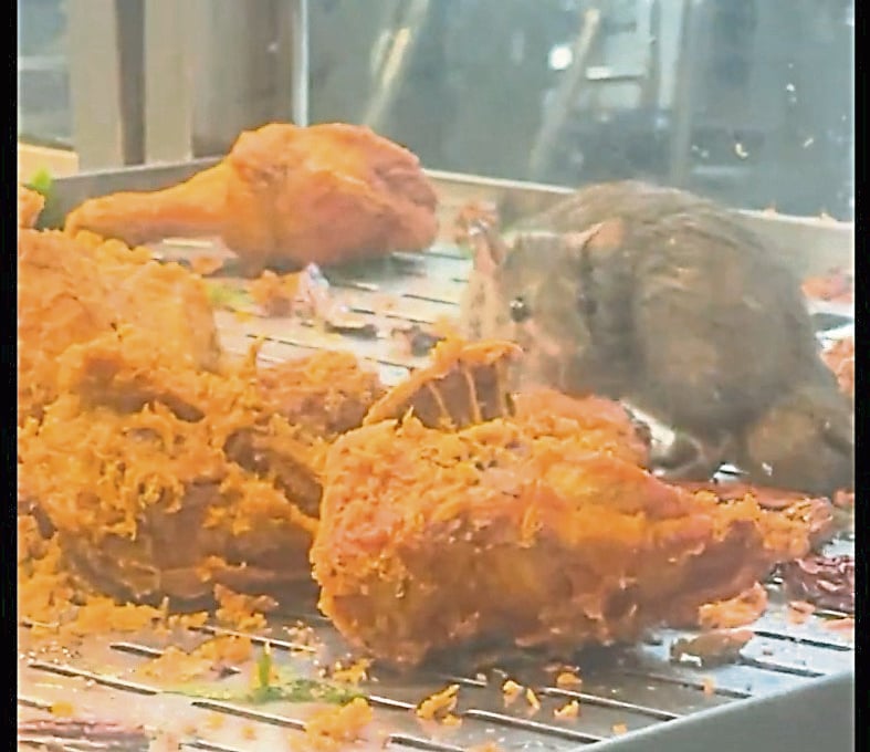 （大都会）老鼠舔食炸鸡餐馆被吊销执照