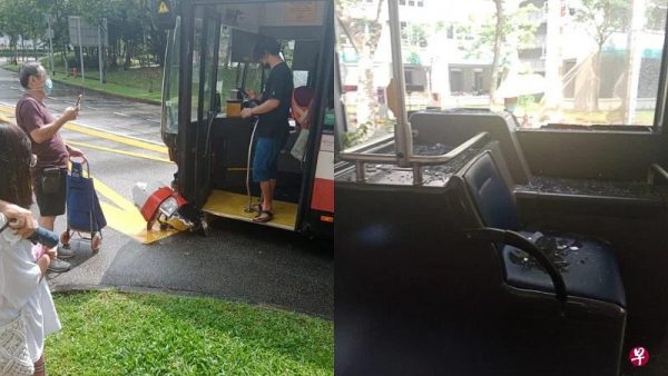 巴士失控撞树 碎片割伤乘客