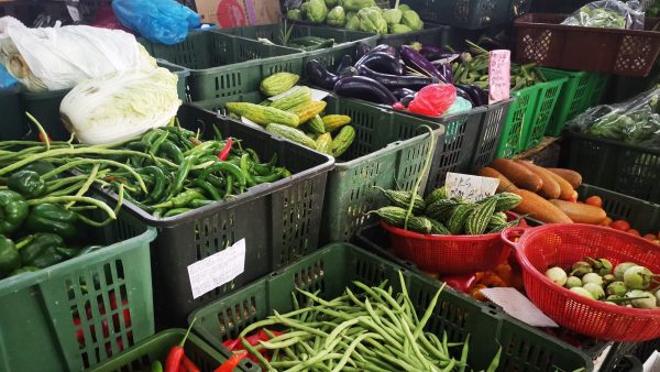 雨季影响蔬菜产量大跌 菜农：消费者或得吃贵菜