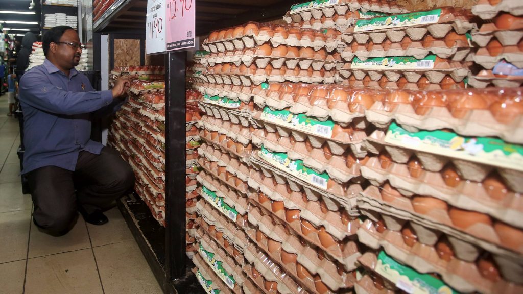 威拉班：仅局部地区暂缺货   森鸡蛋货源足