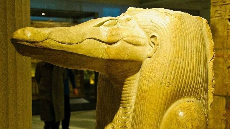 9鳄鱼头与古埃及高官同葬 考古学家：史上首见