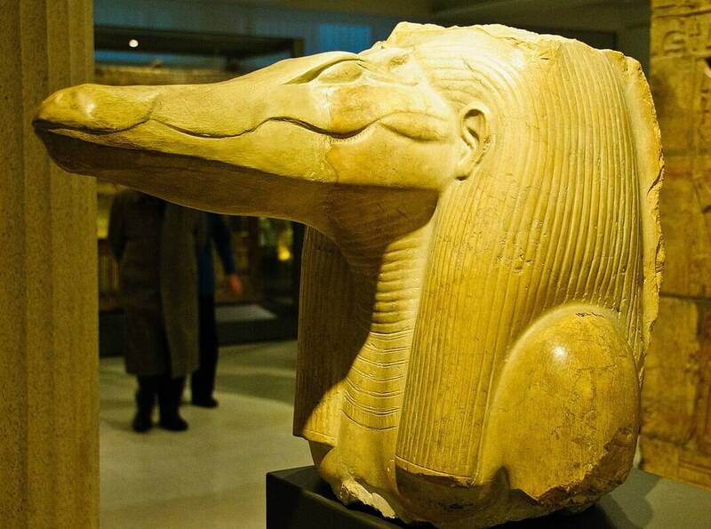 9鳄鱼头与古埃及高官同葬 考古学家：史上首见