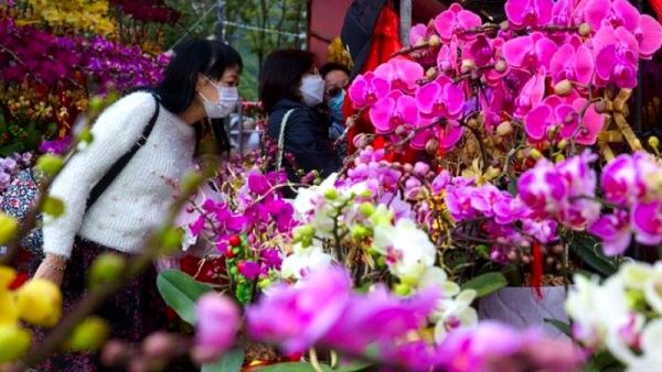 Flowers and fortune abound as CNY approaches