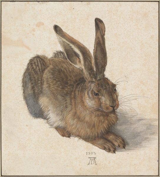 【兔年说兔／西方篇】从童话到艺文，兔影翩翩