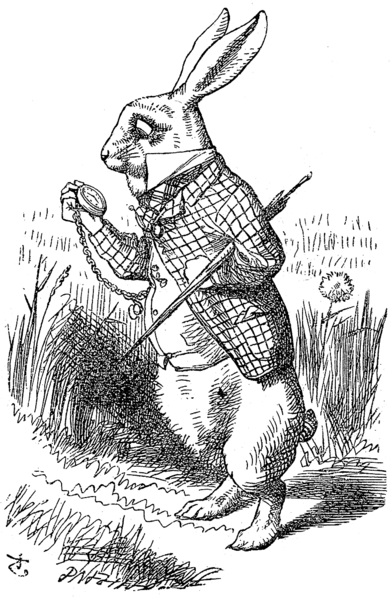 【兔年说兔／西方篇】从童话到艺文，兔影翩翩