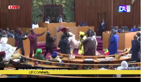 国会打架掌掴飞踢踹孕妇　塞内加尔两男议员被判监禁6个月