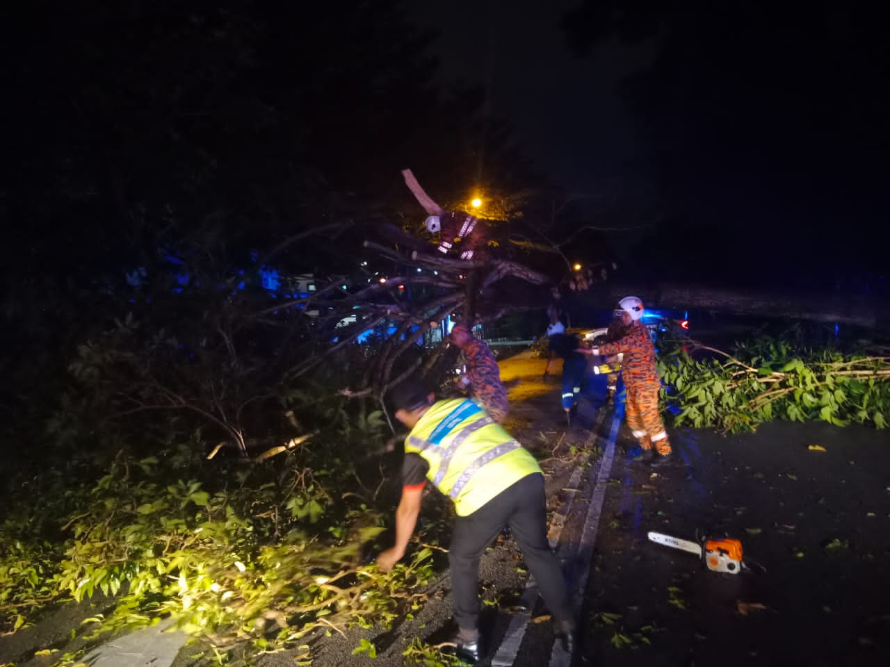 大都会/巴生频下雨，昨夜大雨吹倒大树