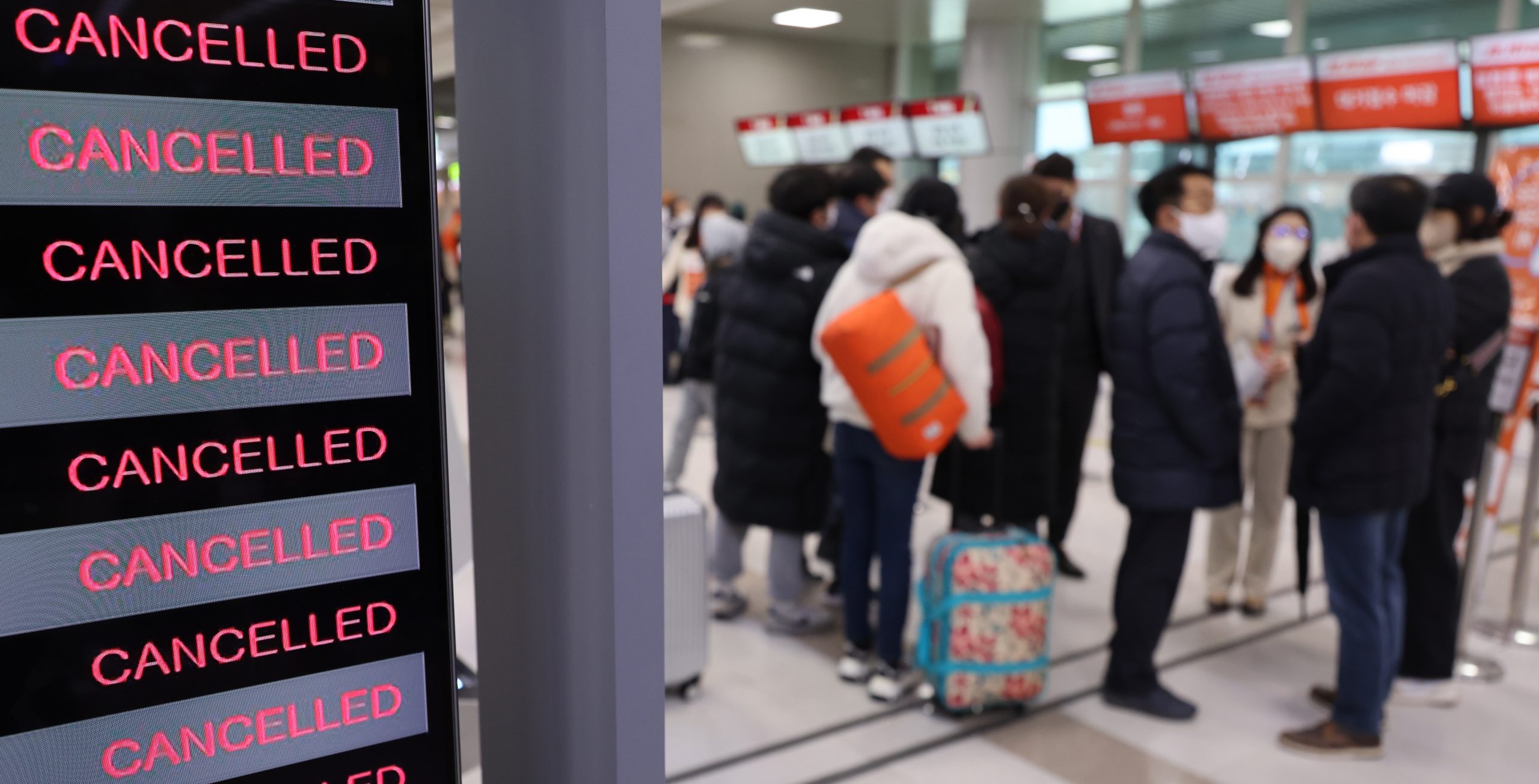 大雪停了济州机场恢复运作 数万旅客抢光机票