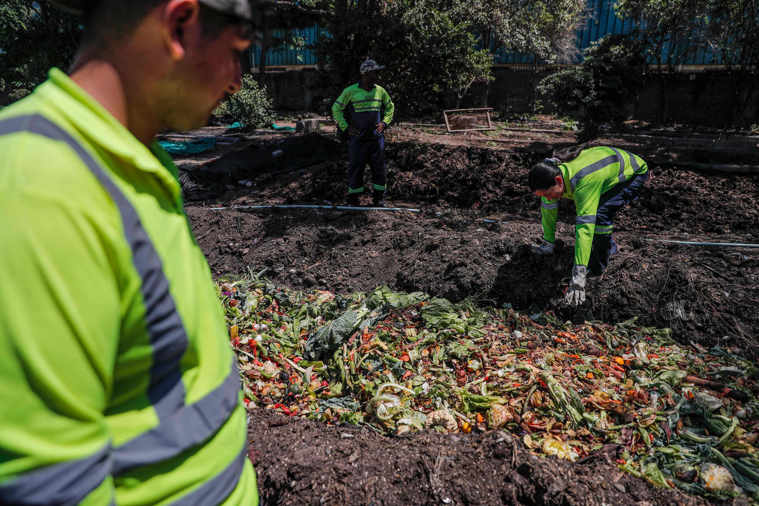 拚盘)绿量无穷／ 圣地亚哥贫民窟撒下“回收种子”