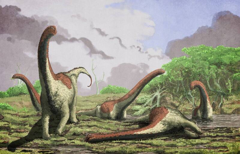 印度发现泰坦龙巢穴 250颗化石蛋揭白垩纪恐龙秘密