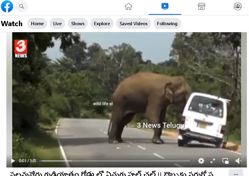 求真 大象攻击货车非印度发生