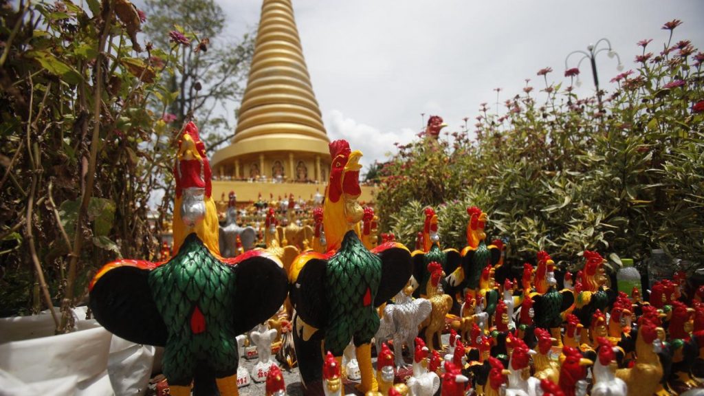 泰国南部寺庙灵验 民众还愿公鸡雕像摆满道路