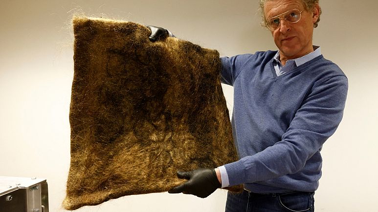 比利时NGO推动环保项目  回收头发制毯子吸油污