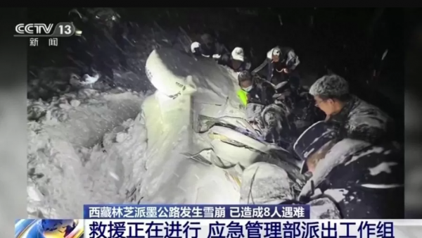 西藏公路雪崩遇难者增至20人 8人仍失踪