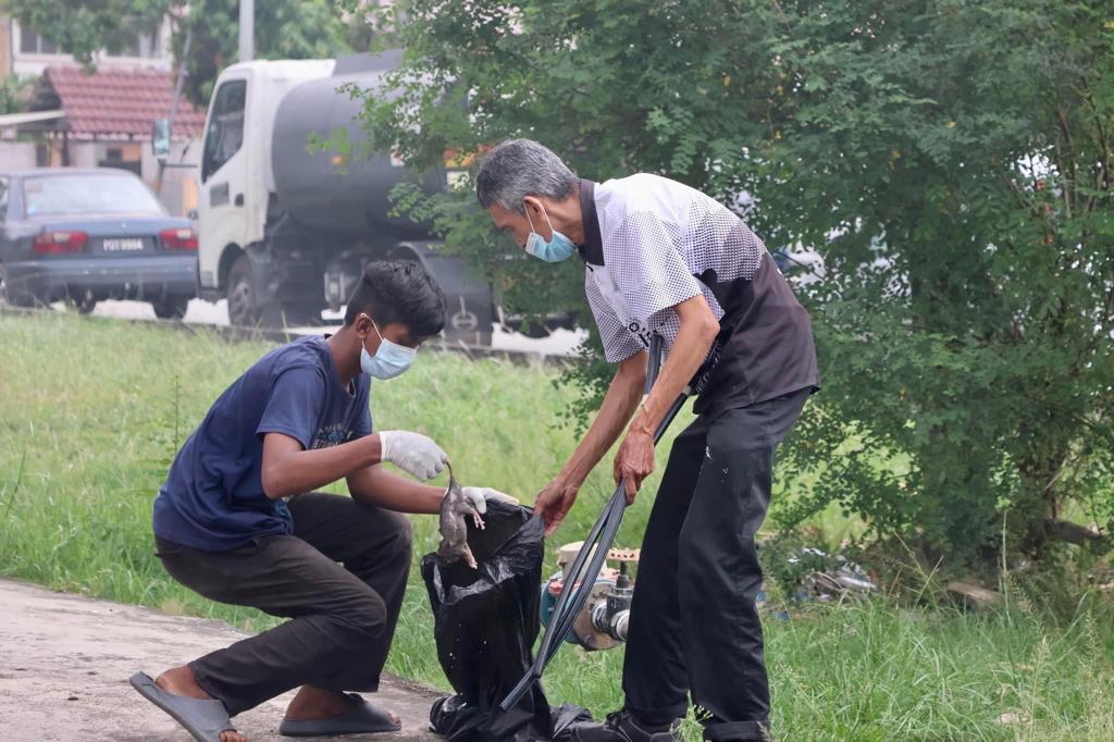 （大北马）峇眼惹玛区州议员孙意志服务中心联合麦曼珍乡委会、末哈莫沙亚乡委会与威省市政厅卫生部展开两天的灭鼠行动。