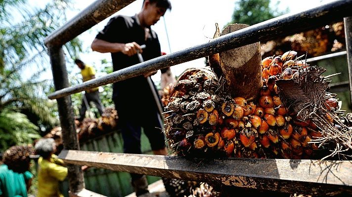 Palm oil diplomacy