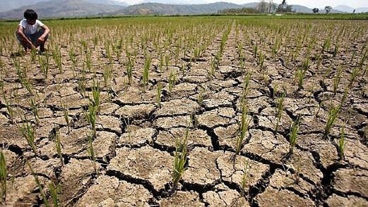 气象局：印尼预测干旱来临 厄尔尼诺7至9月发生概率49％