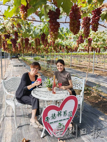 苏丽萍（左）与陈春韵在葡萄园内打卡享受葡萄汁，非常写意。
