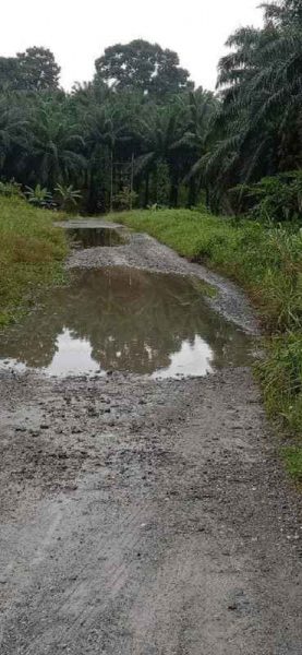 位于16哩甘榜贡贡，通往采石场的道路也被发现大面积积水坑洞。（取自脸书）