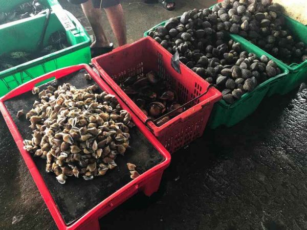 亚庇鱼市场内仍有鱼贩出售贝壳类海产，但他们有向民众表明并非来自受红潮影响海域苏捕获。