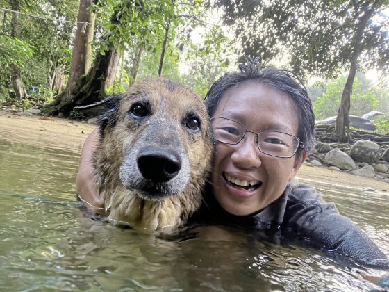 一人一狗环岛游，游山玩水谱写美好时光