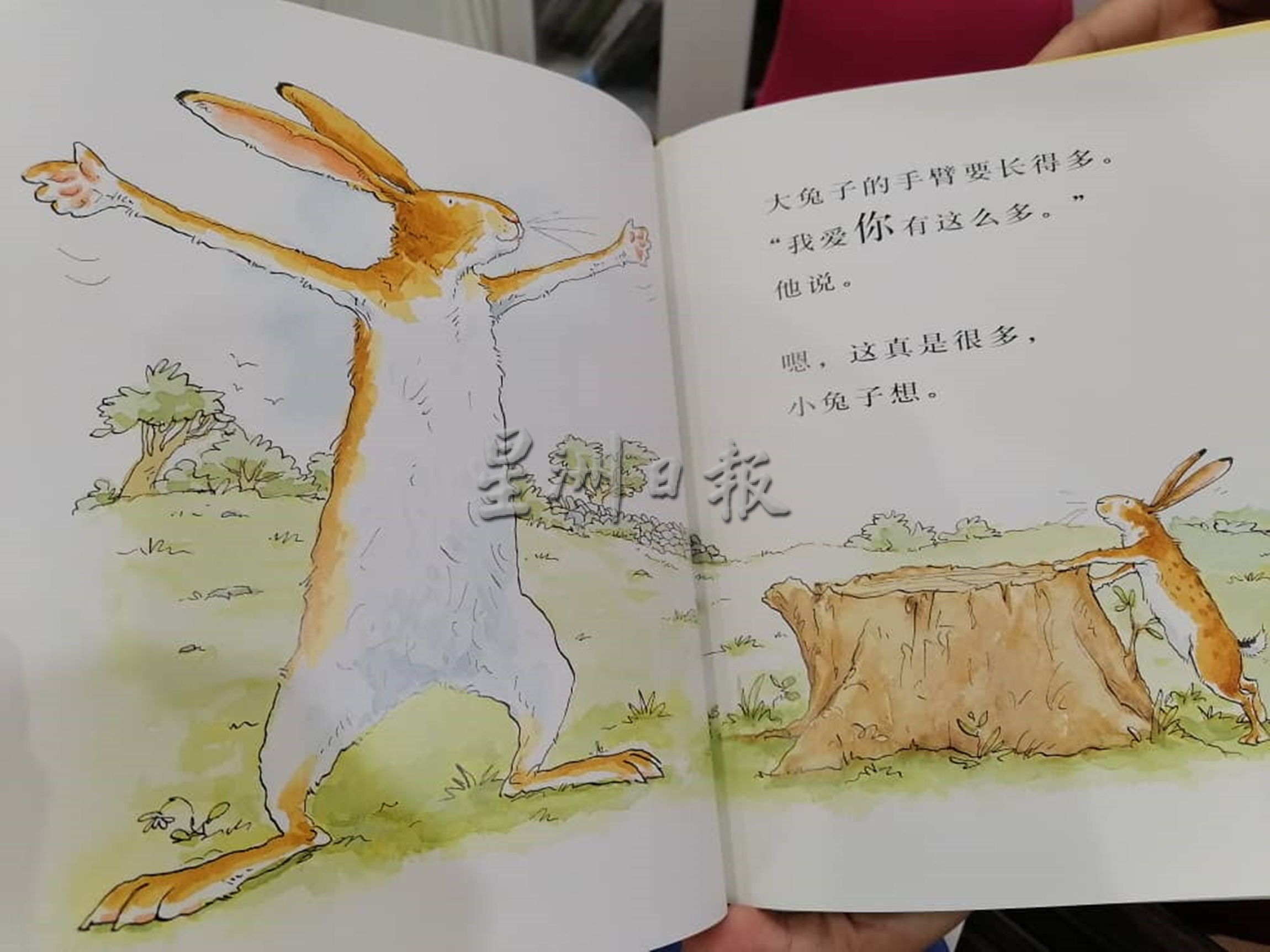 ***东《兔年特稿》／“绘本作品中的兔子●可爱、弱小但机智。”