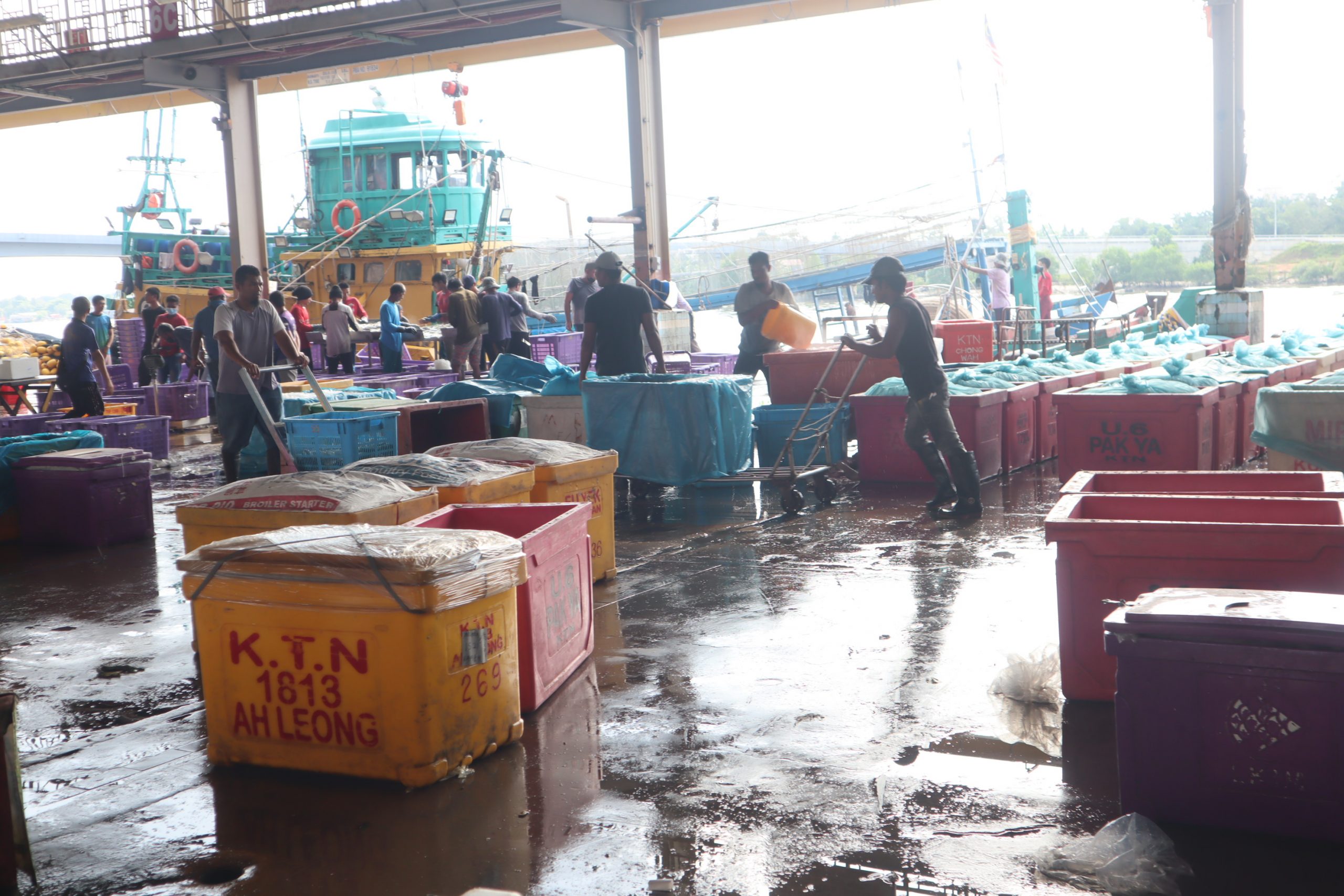 东：渔船领域面对缅甸外劳短缺问题，加上无法申请漂白缅甸外劳，业者望政府正式问题，避免因外劳短缺，间接导致渔获价格上扬，使得民众需吃贵鱼。
