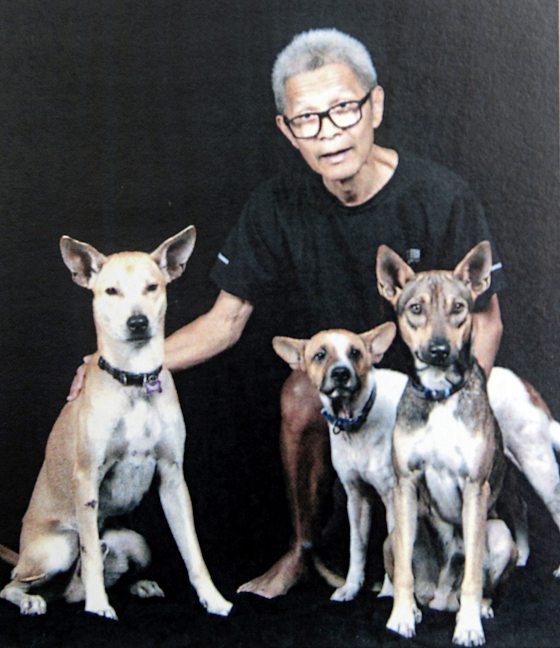 吉隆坡兽医局01／灾难现场暖心时刻，将狗狗遗体“送”回家