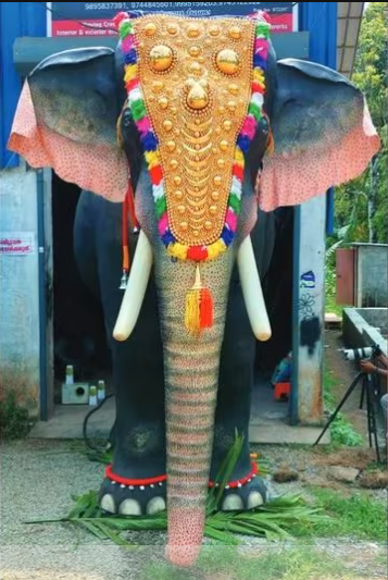 善待动物 印度神庙改用机器象敬拜
