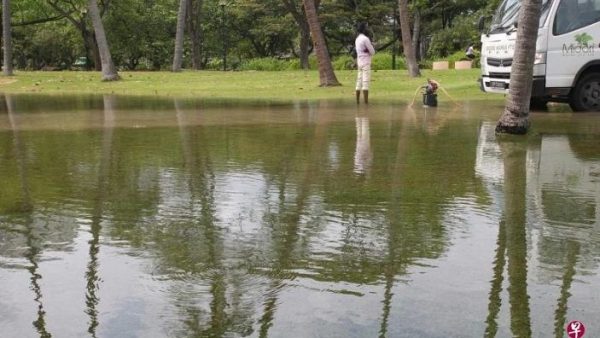 海水涨潮达3.4公尺 狮城东海岸公园中午局部淹水