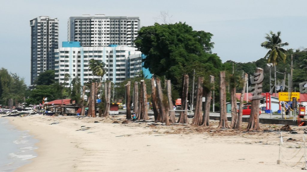 昆罗公主海滩尾端暂关闭 整顿工程 砍近百棵大树
