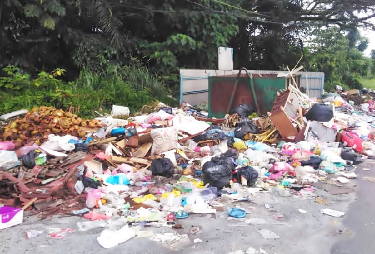 抛垃圾在垃圾桶外 垃圾虫污染环境