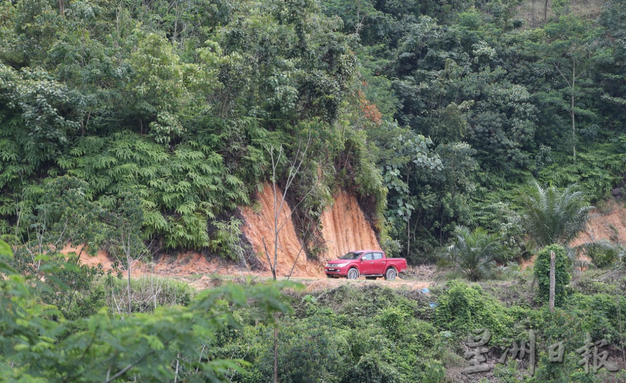 攀龙岗山须提防 丹那依淡现老虎黑豹踪影 