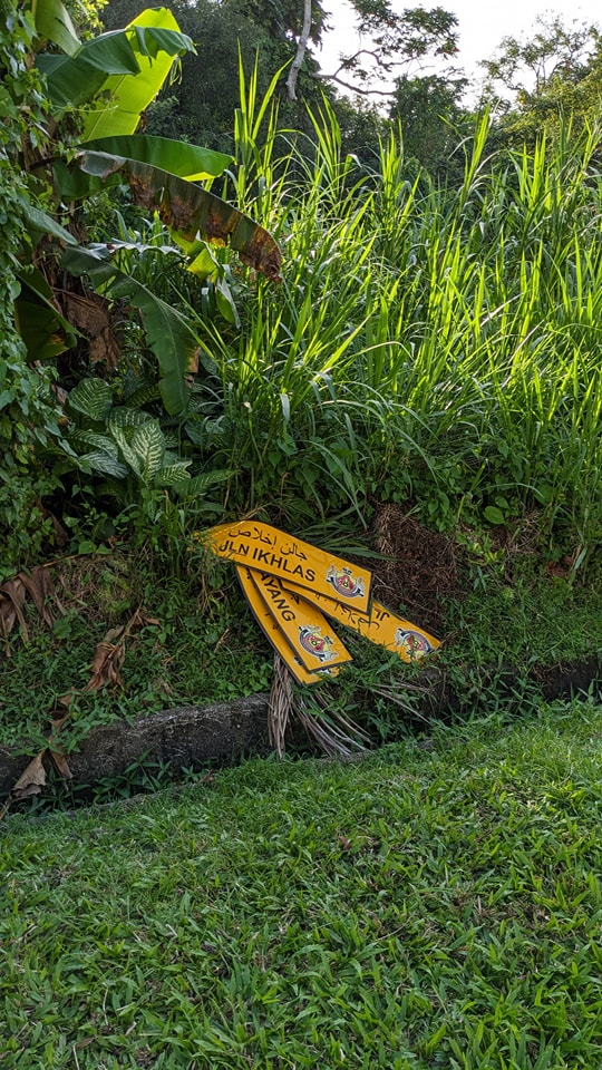 柔：新闻：宵小偷路牌铁柱 路牌丢草丛