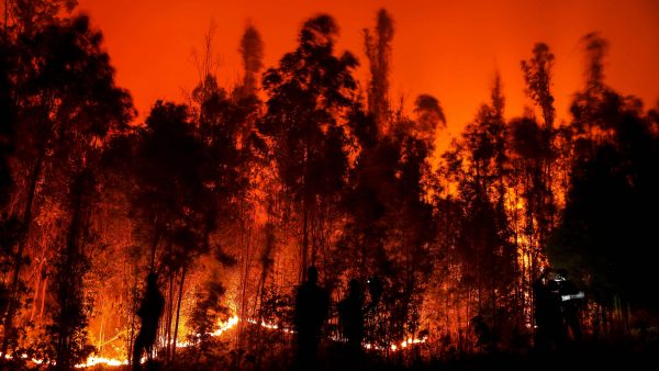 森林大火致22死逾500伤 智利中南多地进入灾难状态