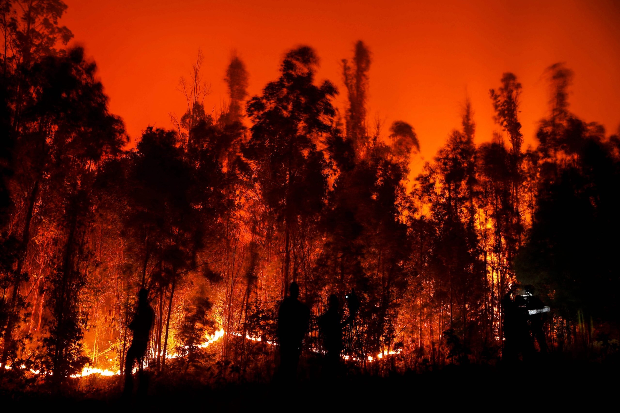 森林大火致22死逾500伤 智利中南多地进入灾难状态