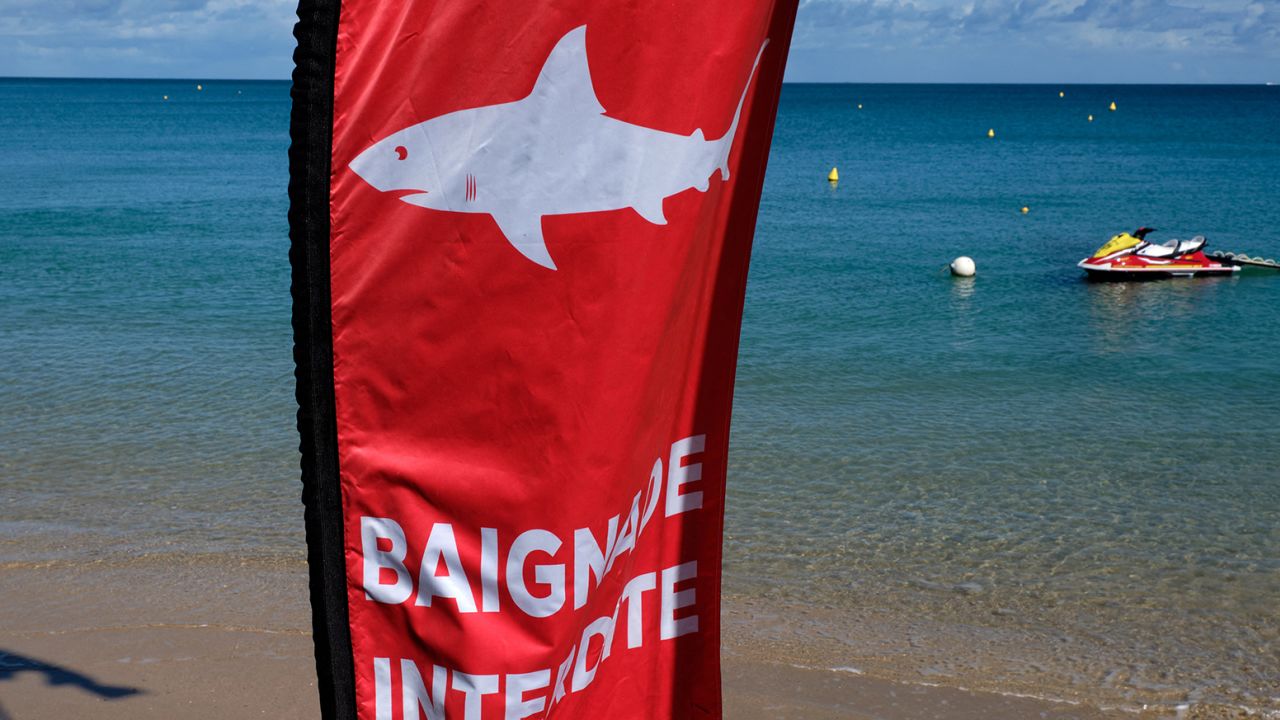 法属新喀里多尼亚海域 一名澳洲男子遭鲨鱼袭击丧生
