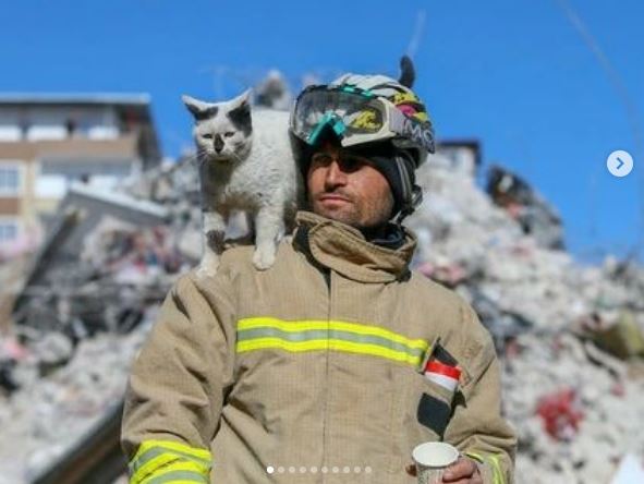 猫咪被困129小时获救　与救命恩人消防员形影不离