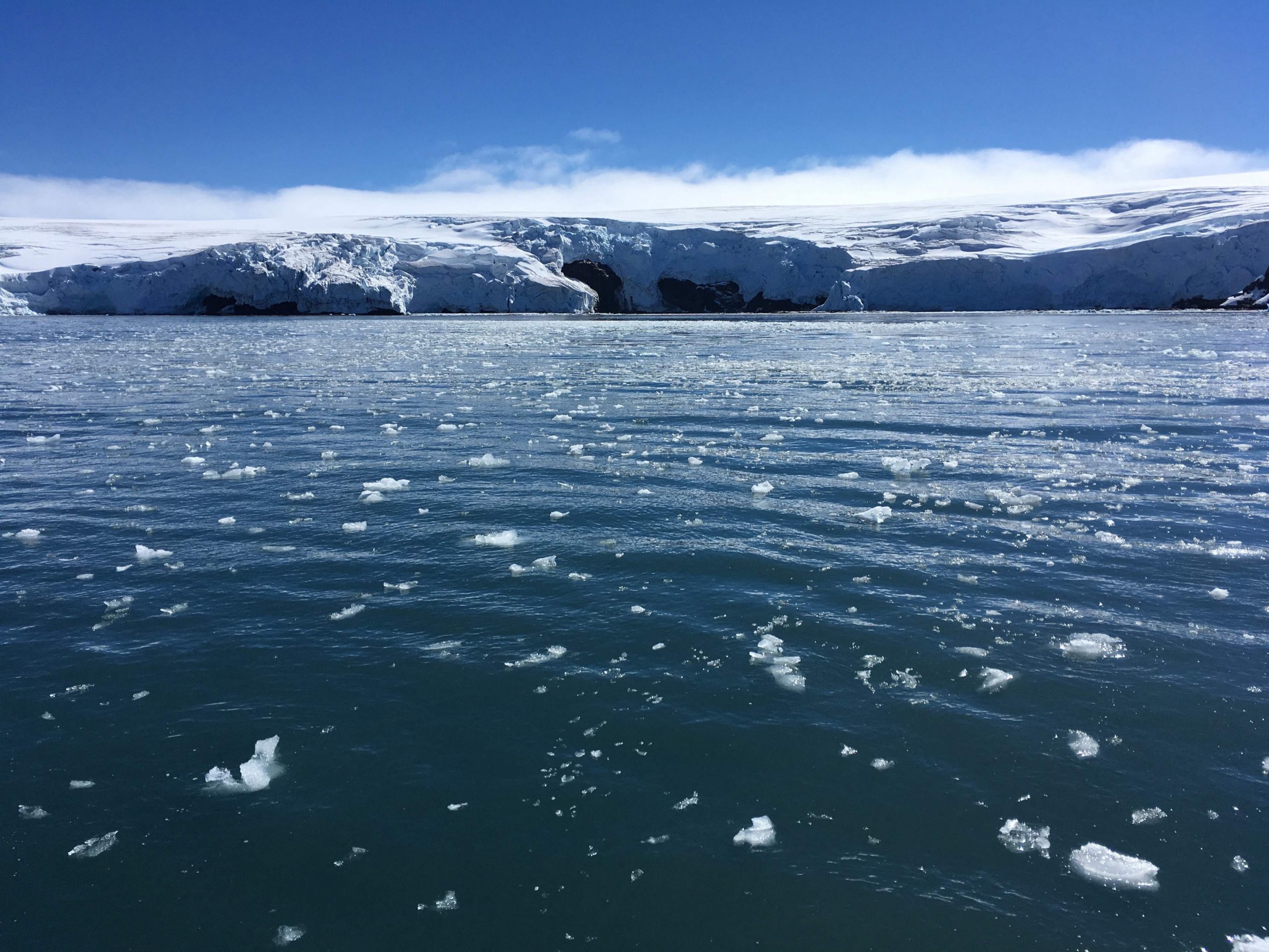 看世界／南极海冰面积创新低 恐加速全球暖化