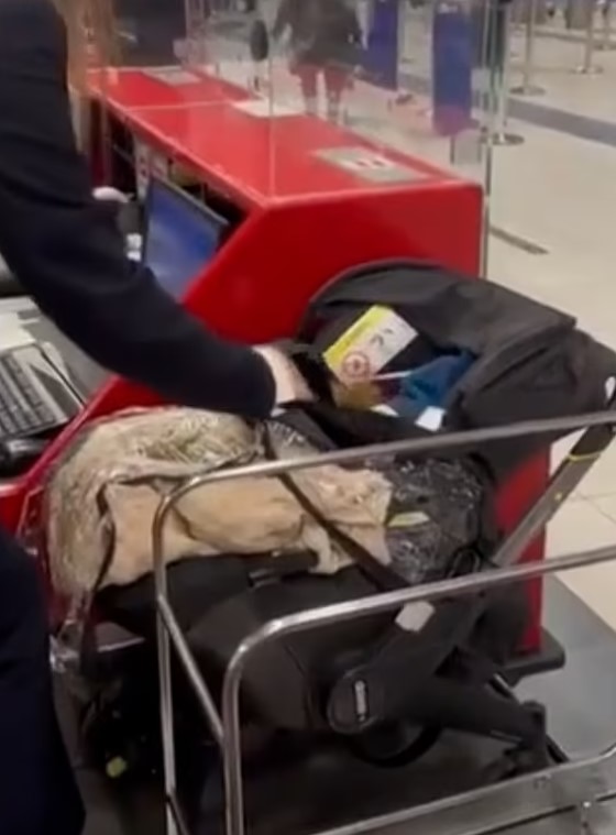 飞比利时不买宝宝机票 夫妇狠把男婴留机场自己登机